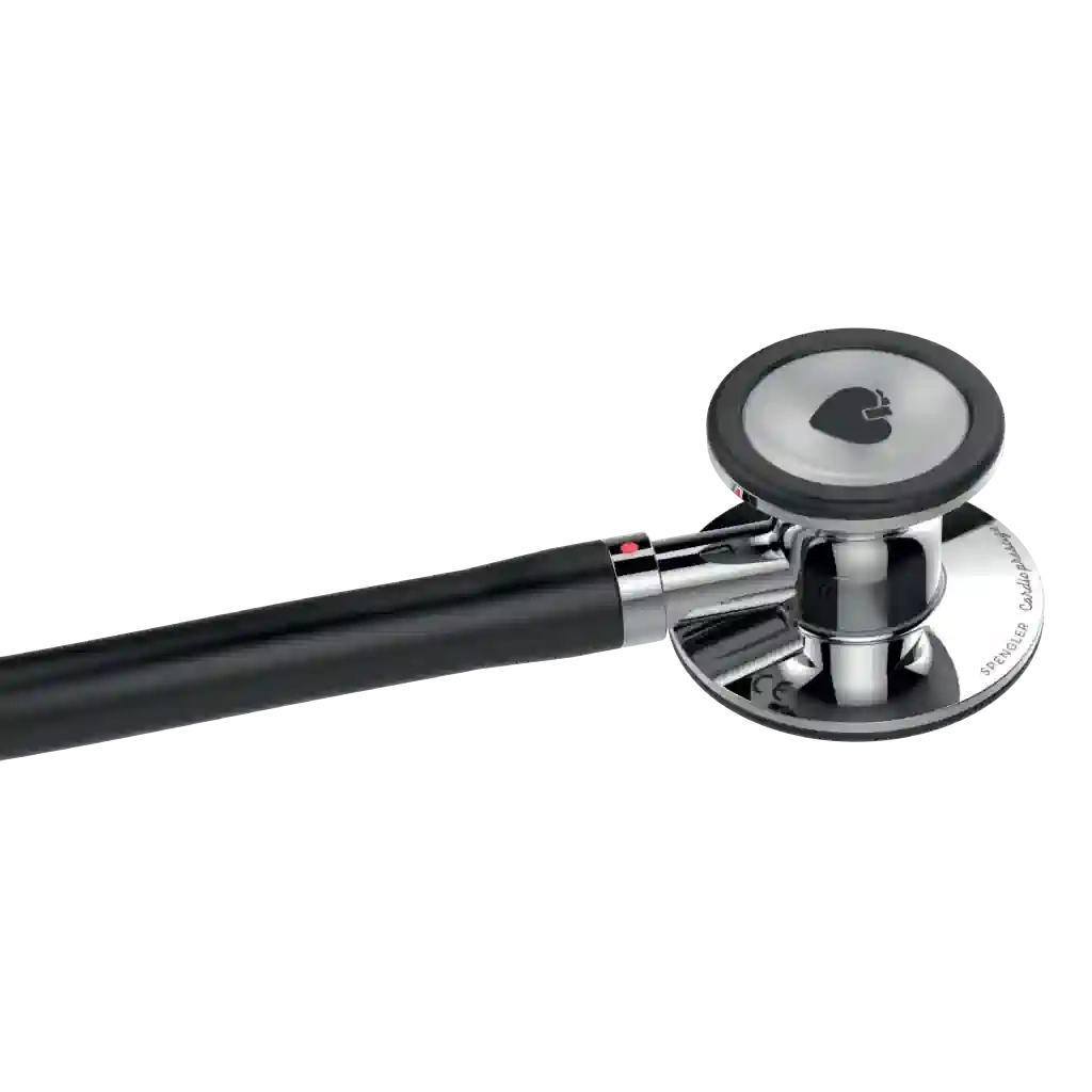 cardio-prestige-double-pavillon-spengler-2