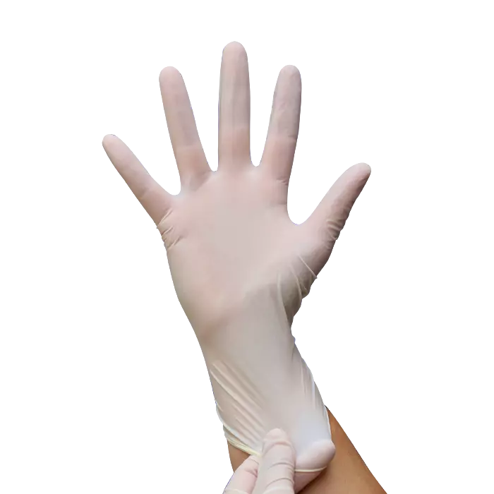 gant-dexamen-en-latex-poudre-240-mm-eurotex-2