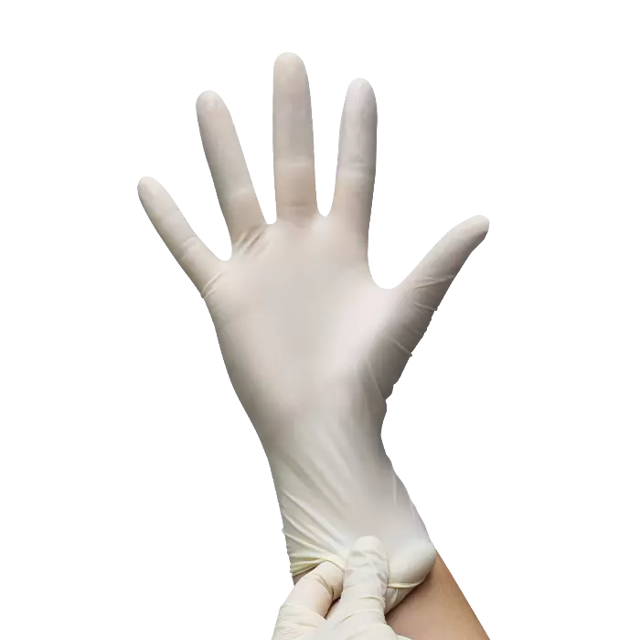 gant-dexamen-en-latex-sans-poudre-240-mm-eurotex-2